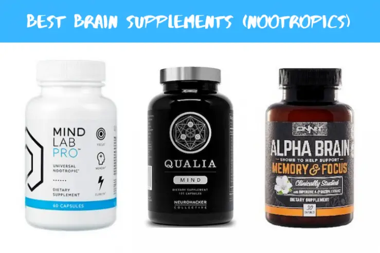 10 Best Brain Supplements for Adults [Nootropic 2020 Edition]