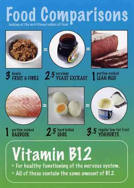 20 Vegetarian Vegan Foods High in Vitamin B12