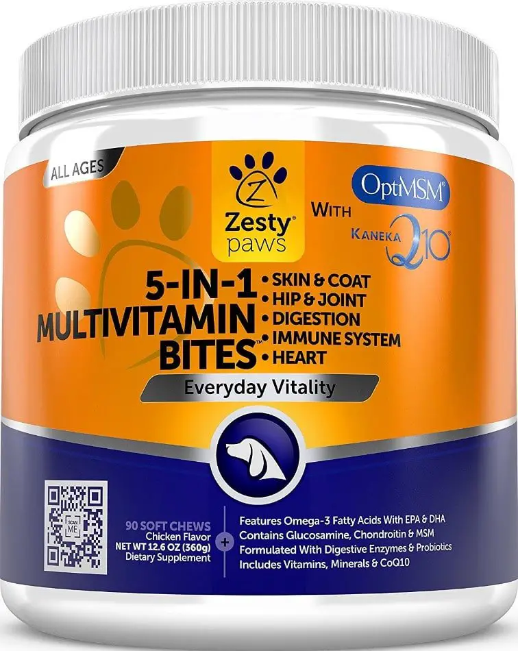 5 Best Dog Vitamins for Your Best Four