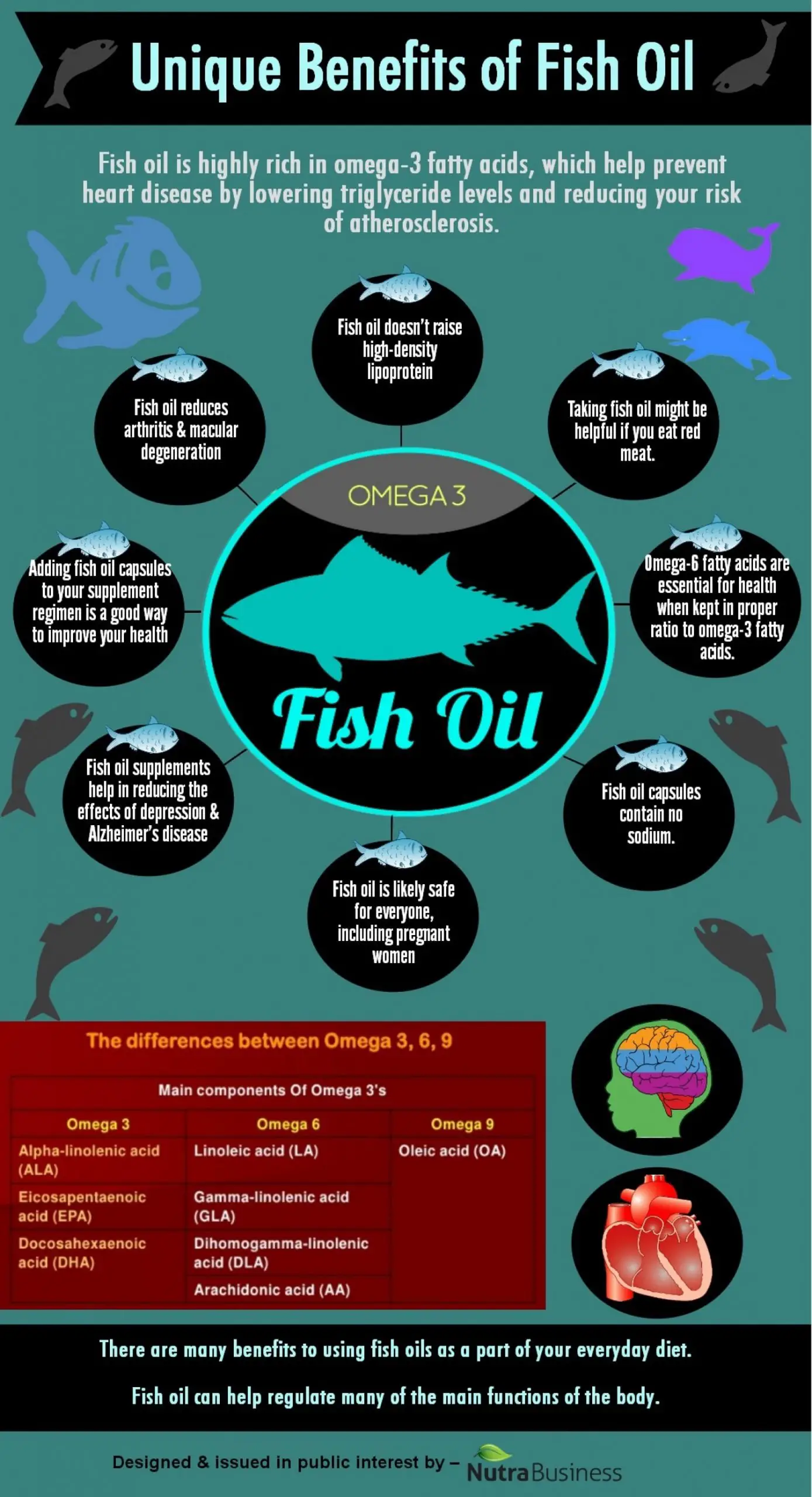 8 Unique Benefits Of Fish Oil Infographic