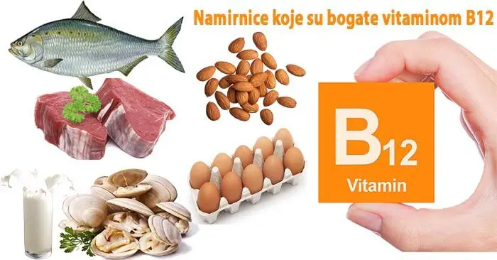 About Vitamin B12 Uses and Doses â Bsef