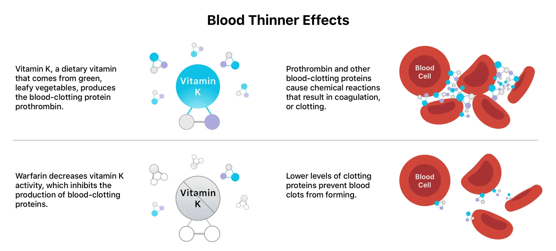 Blood Thinners: Types, Side Effects and Drug Interactions