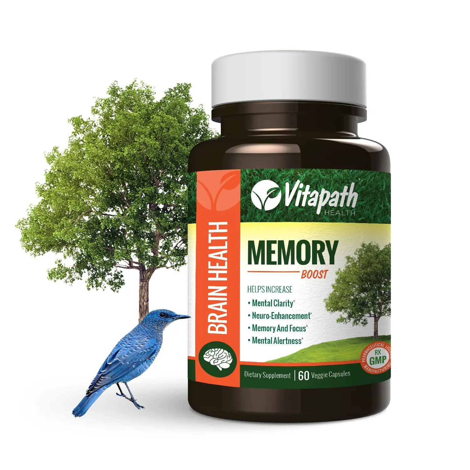 Brain Health Supplement &  Memory Boost Vitamin, Enhances ...