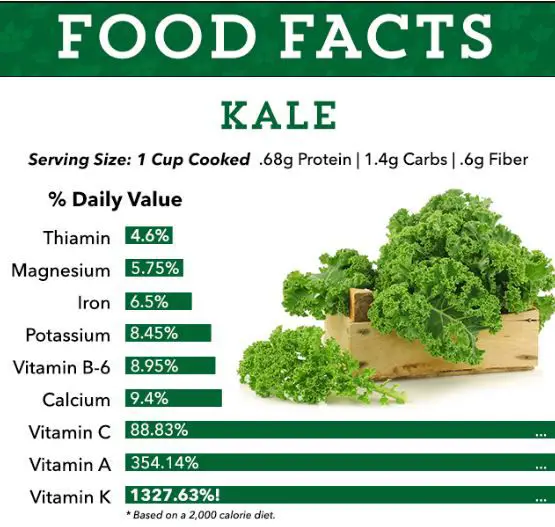 Bulk Kale Powder