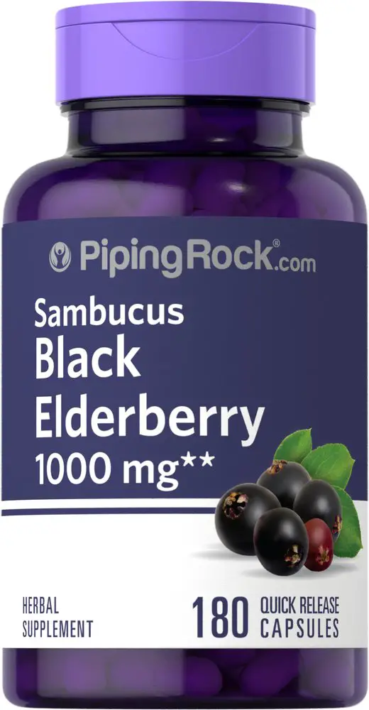 Buy Elderberry Sambucus