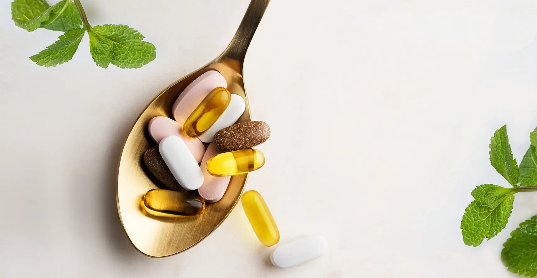 Can Immune Support Supplements Help Fight Cancer? (6 Types ...