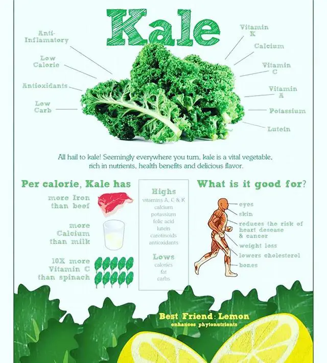 Did you know that #kale has more #iron than #beef and more #calcium ...