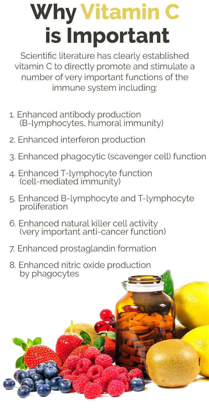 Discover the Importance of Vitamin C