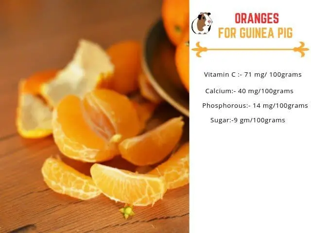 Do Halo Oranges Have Vitamin C