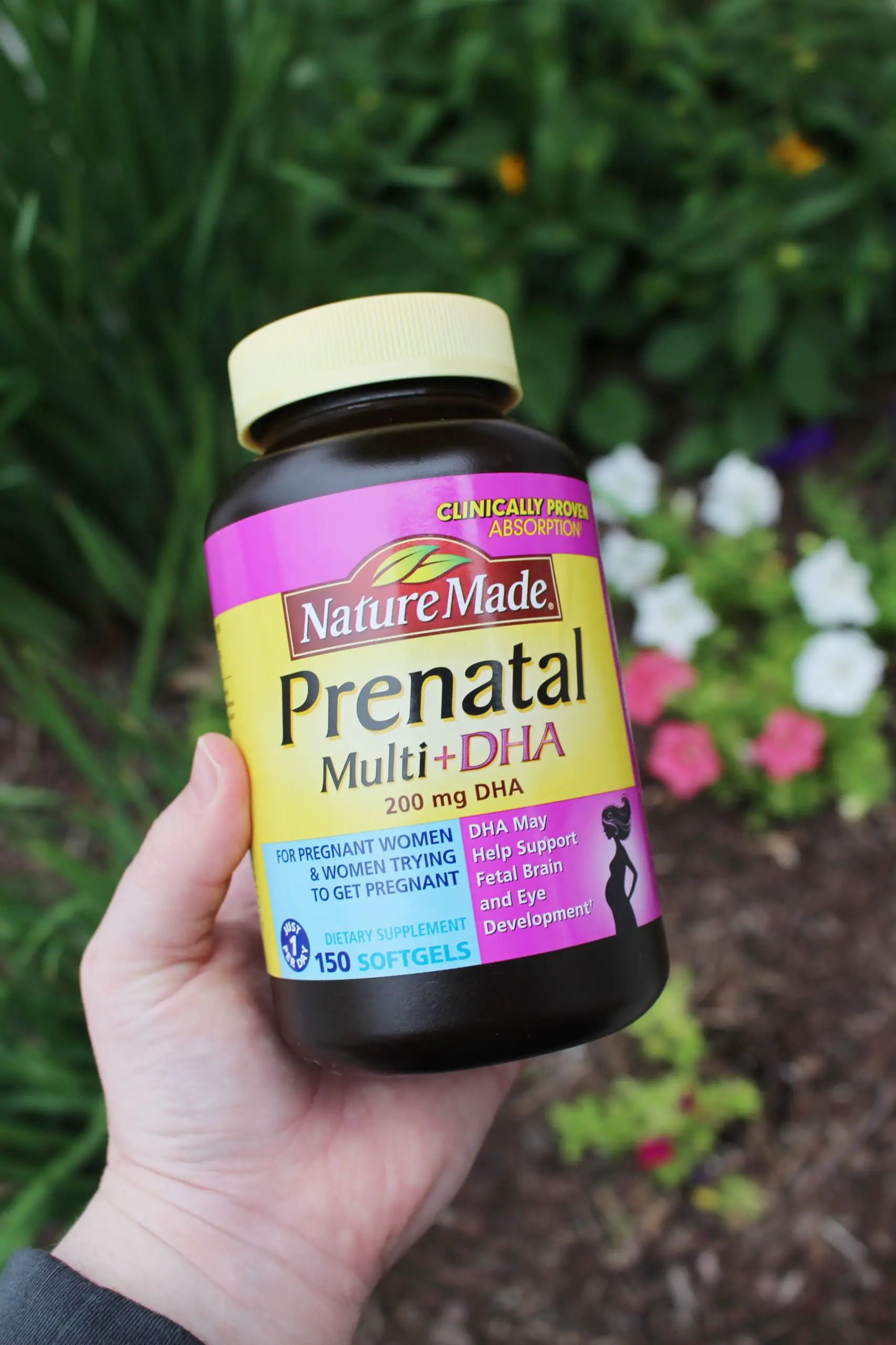 Do Prenatal Vitamins Help You Get Pregnant