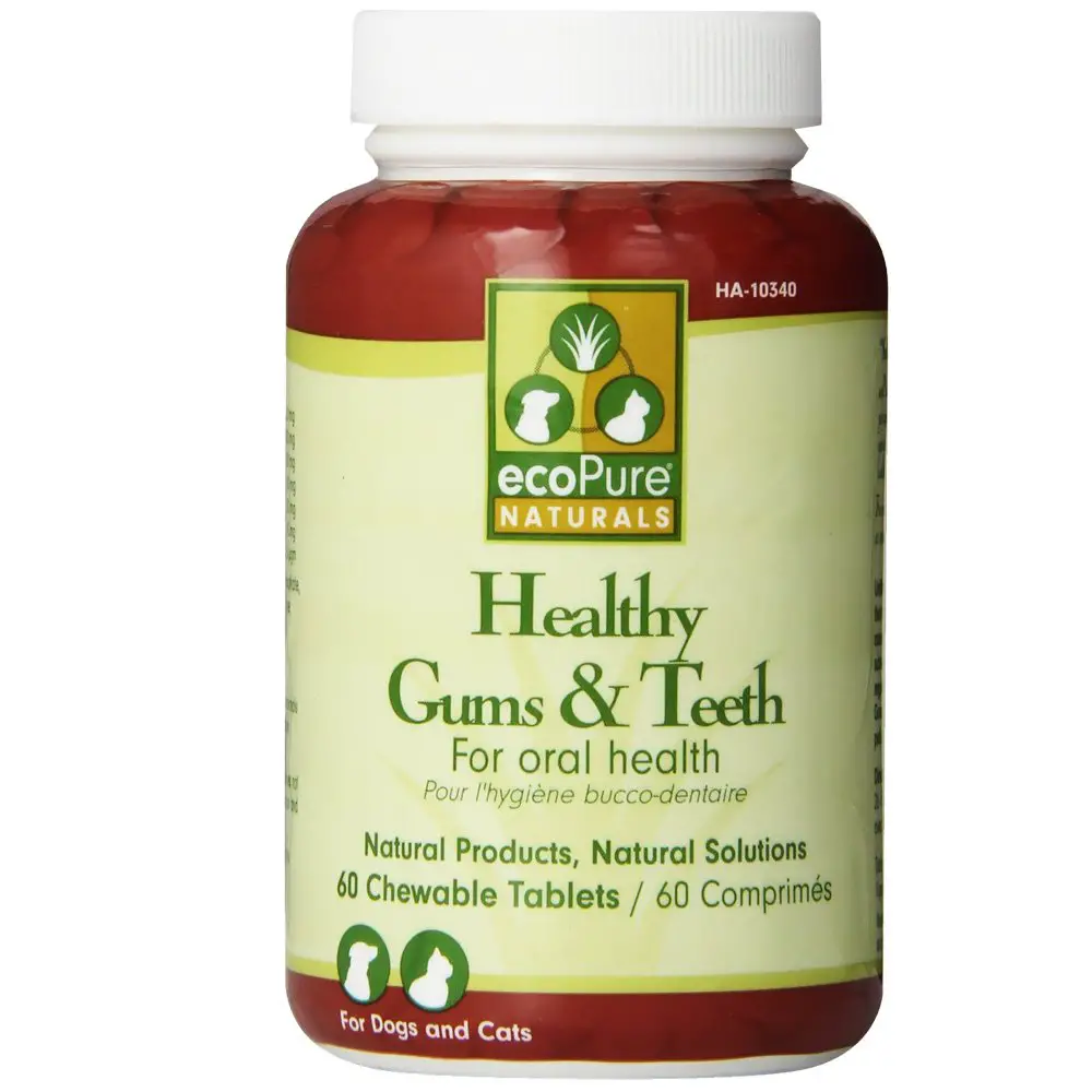 EcoPure Healthy Gums &  Teeth (60 ct)