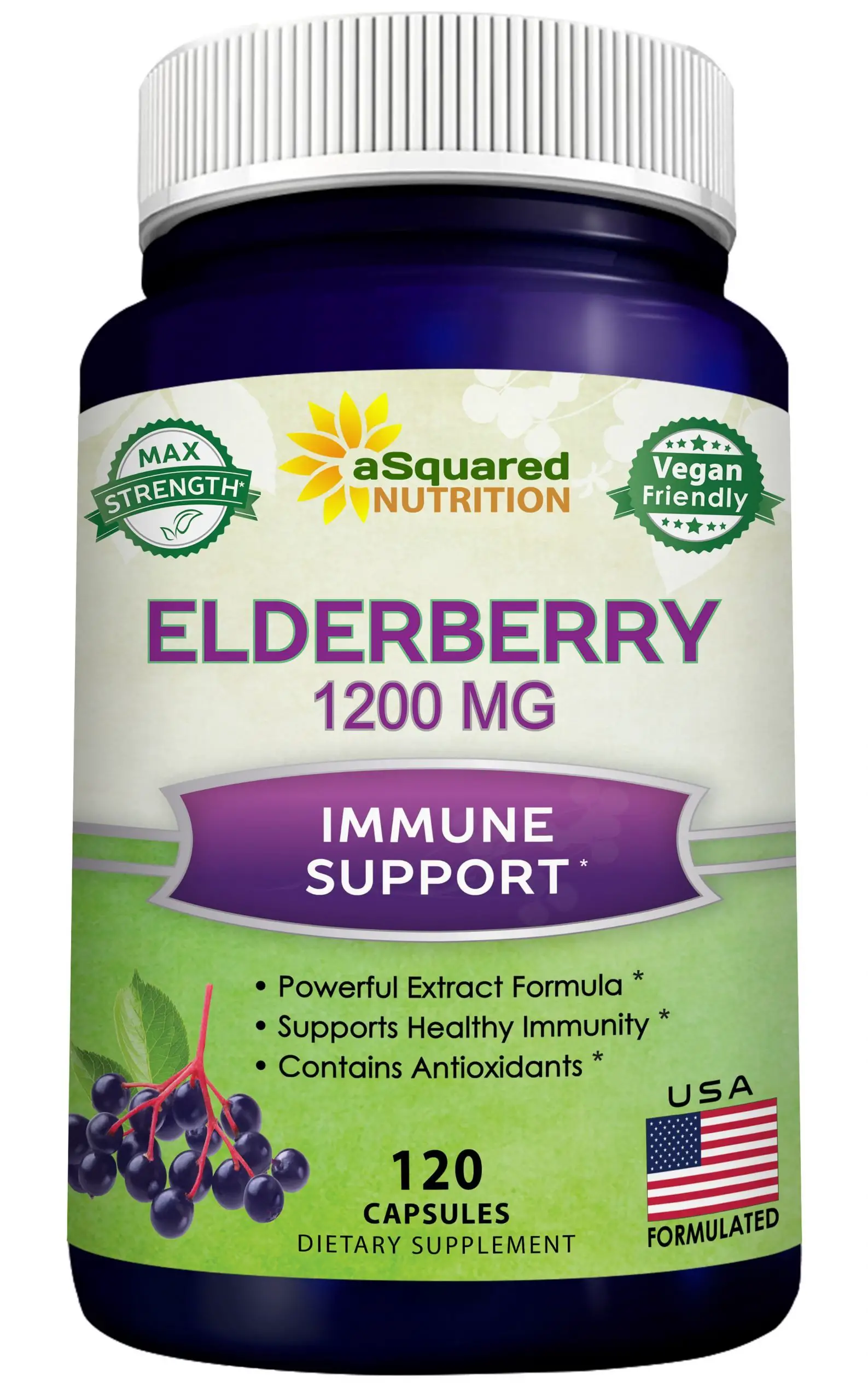 Elderberry 1200mg Supplement