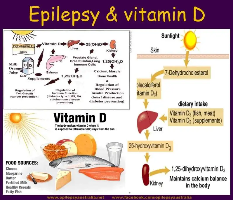 Epilepsy &  Vitamin D