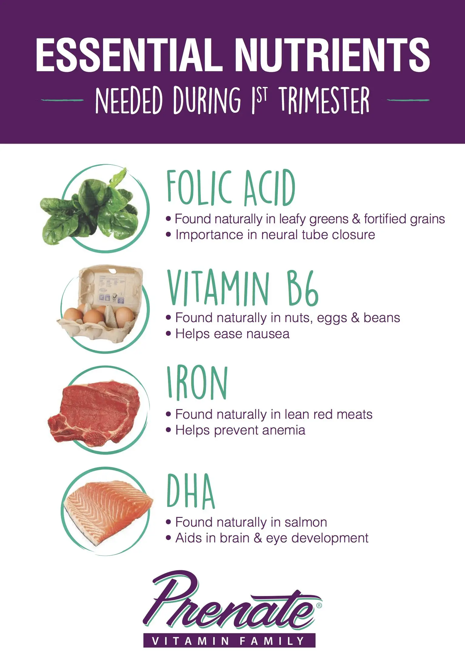 Essential Nutrients in Your Prenatal Diet: 1st Trimester ...
