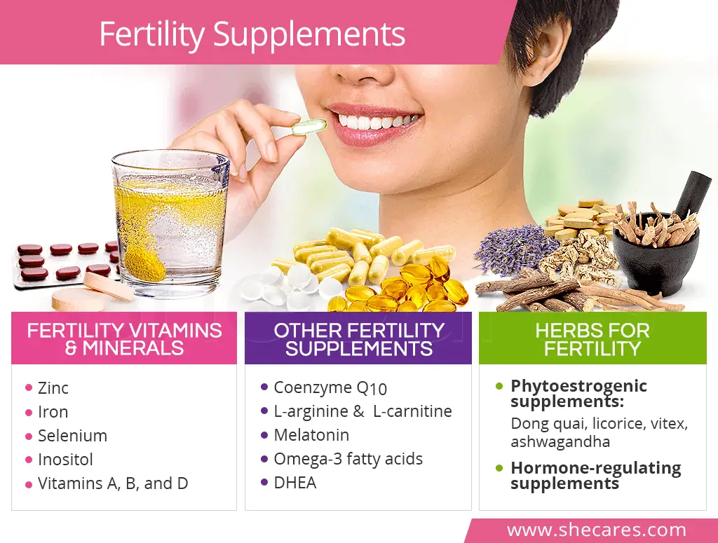Fertility Vitamins and Supplements