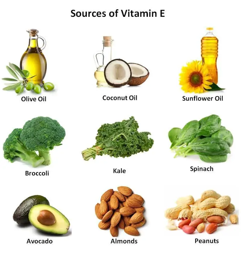 Food Sources Of Vitamin E - VitaminProGuide.com