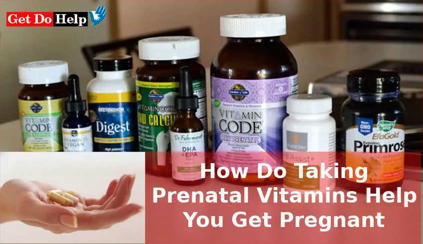 How Do Taking Prenatal Vitamins Help You Get Pregnant ...
