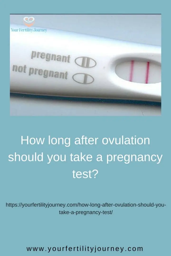 How long after ovulation should you take a pregnancy test?