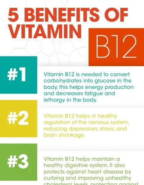 How Much Vitamin B12 Do You Need In A Day