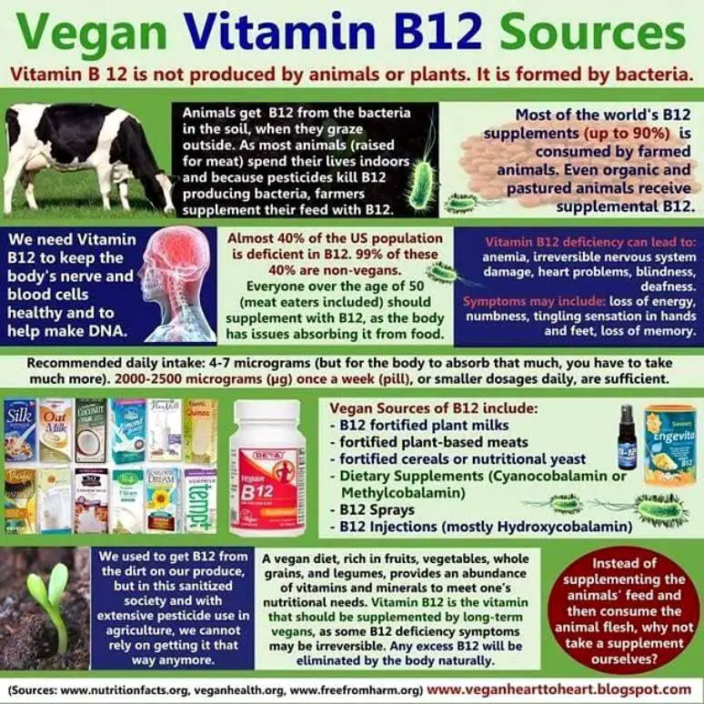 How Much Vitamin B12 Should I Take As A Vegan