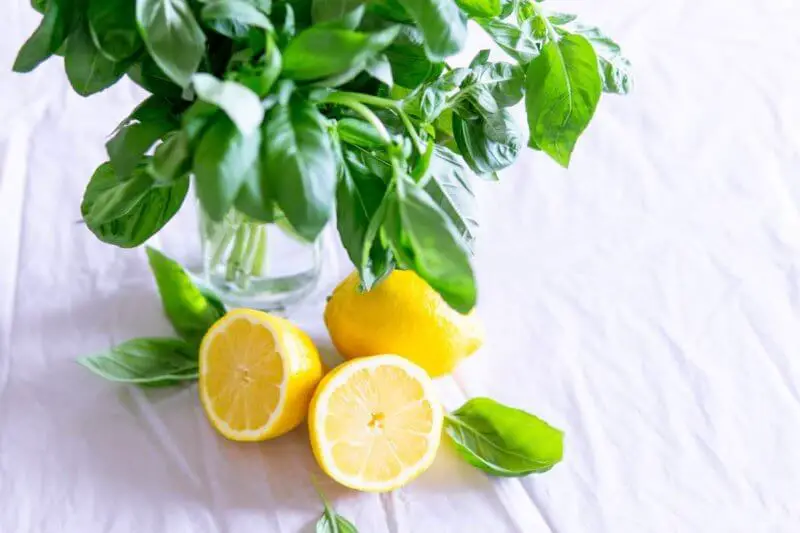 How Much Vitamin C is in a Lemon?  Vegetarians Eat