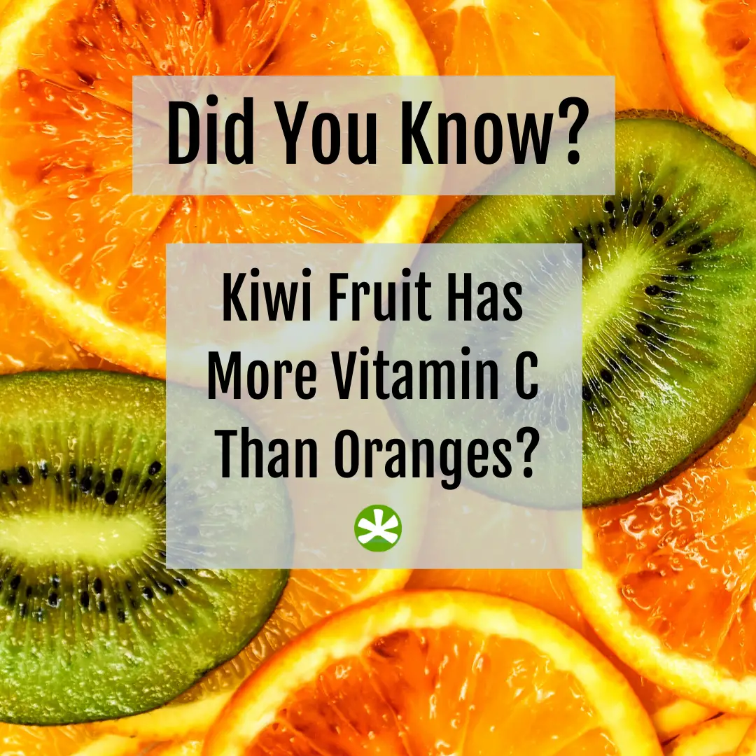 How Much Vitamin C Per Day Can You Have