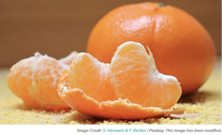 How Much Vitamin C Should You Get Every Day? » Life Lived ...