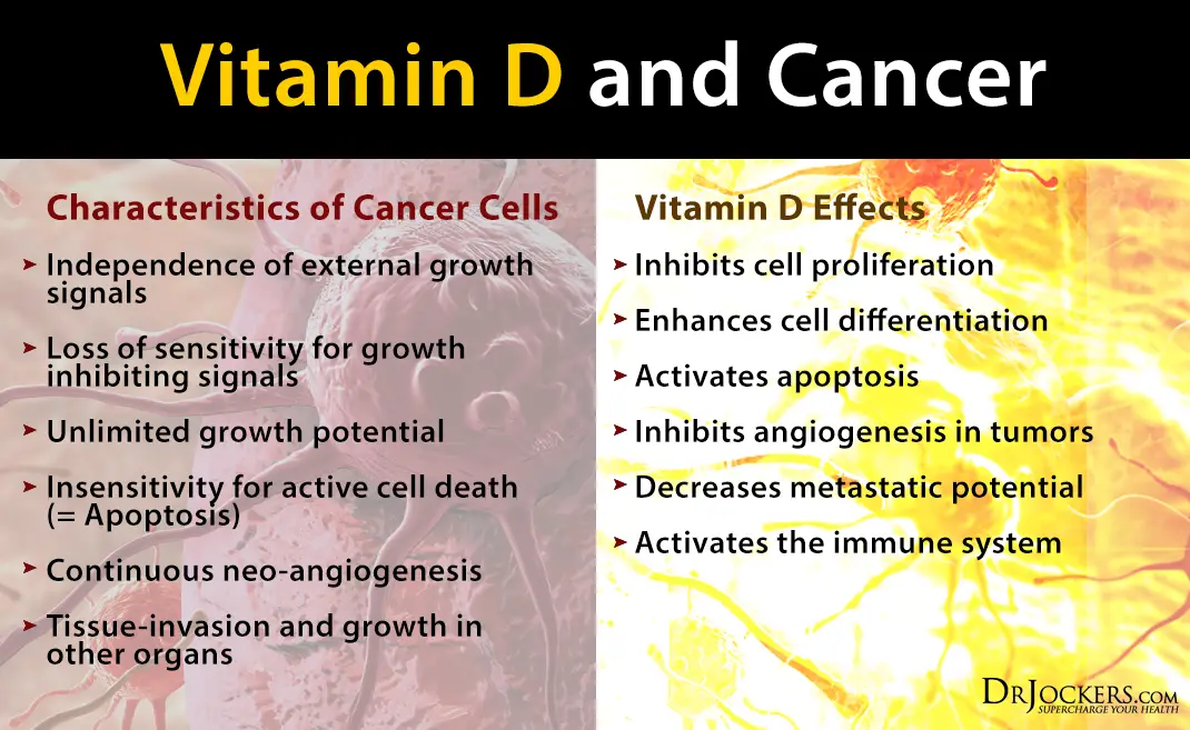 How Vitamin D Stops Cancer Stem Cells