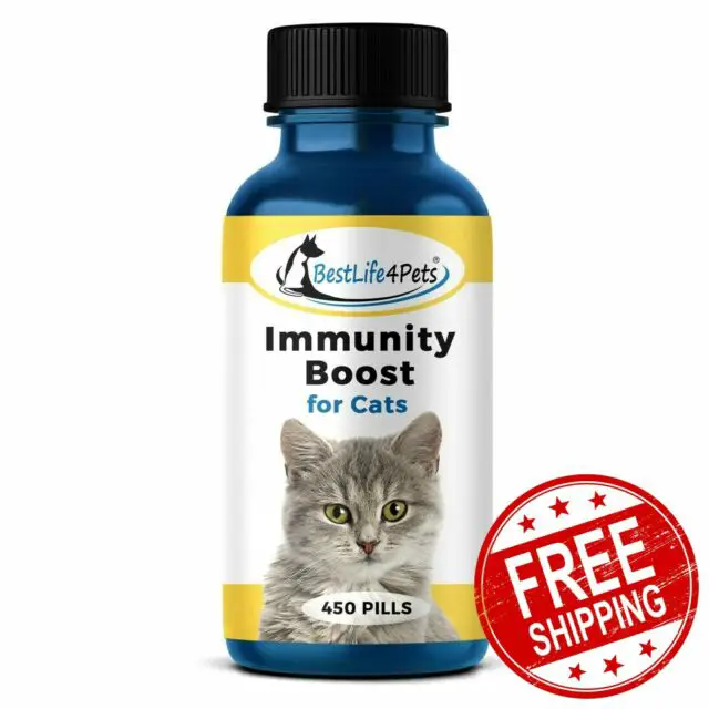 IMMUNITY BOOST FOR CATS 450 Pills Immune System Support ...