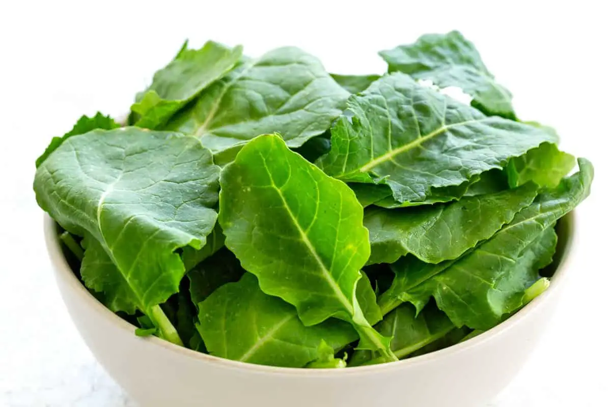 Kale 101: Health Benefits &  Types