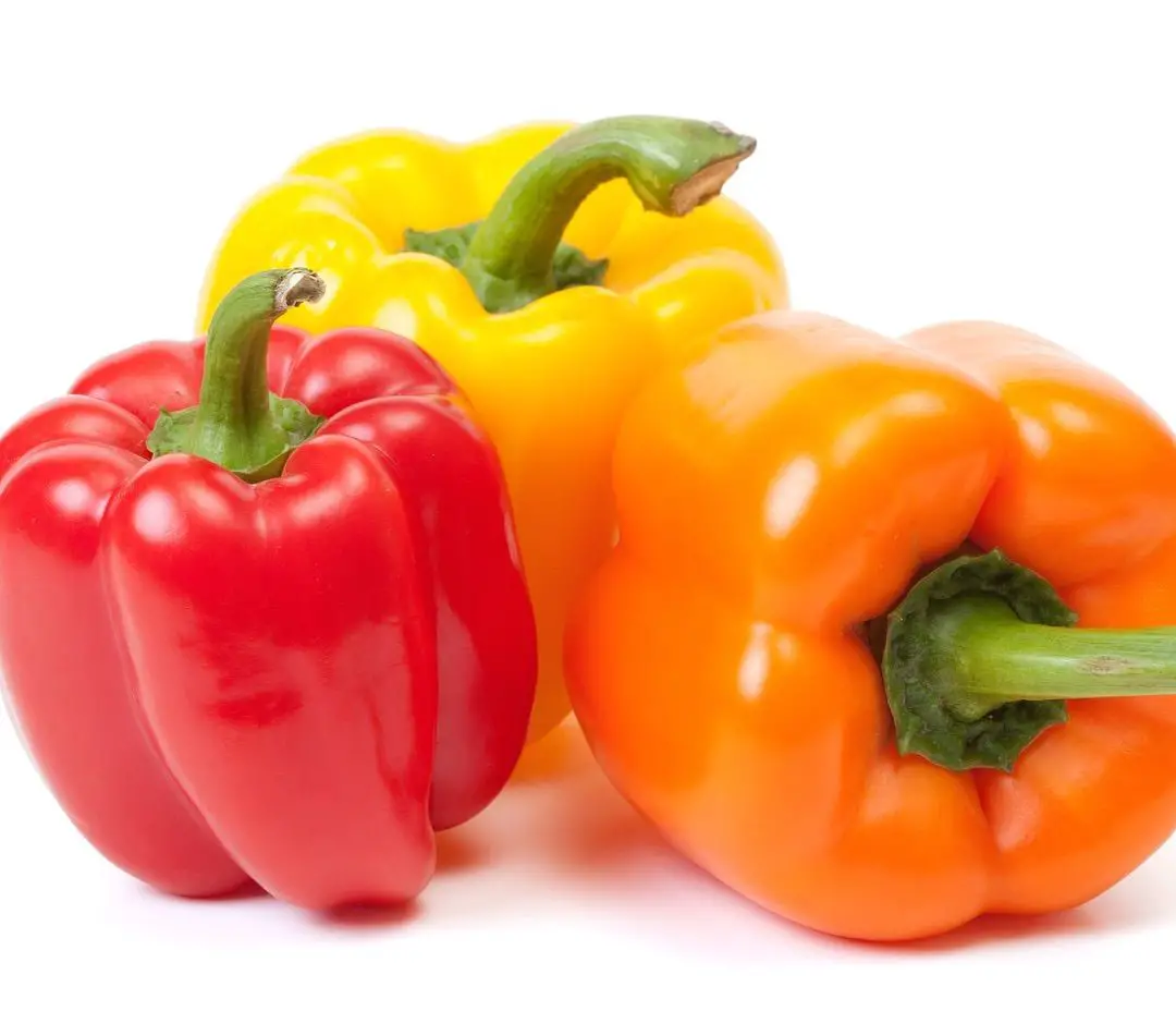 Medical MediumÂ® on Instagram: âBell peppers contain an ...