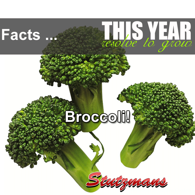 Ounce for ounce, Broccoli has more vitamin C than an orange and as much ...