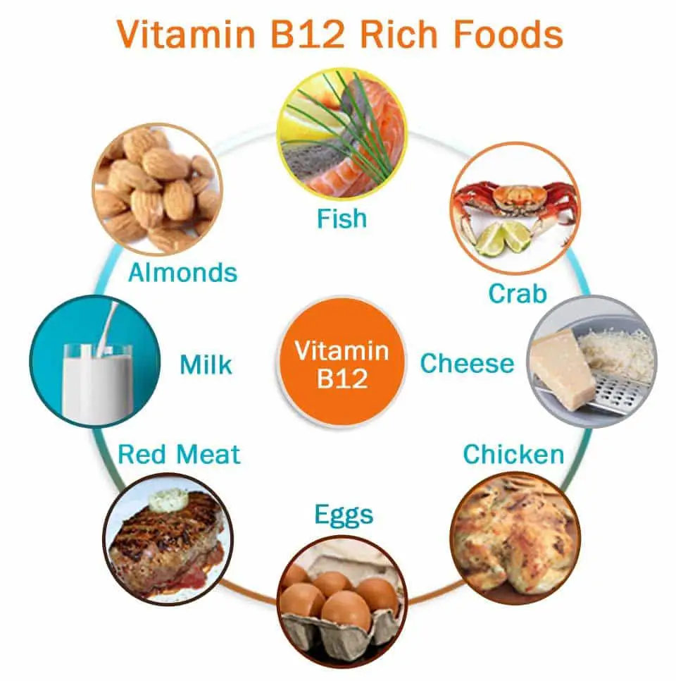 Some of rich foods that provides Vitamin