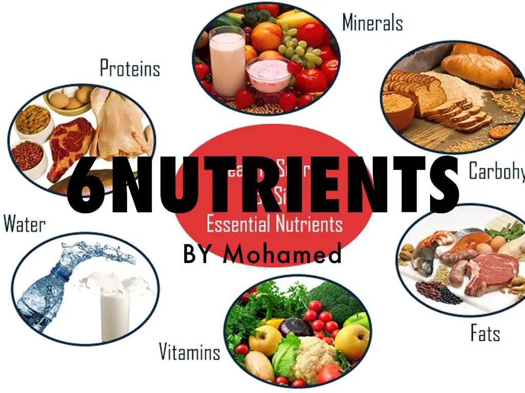 The 6 Different Nutrition by Mohamed Mohamud