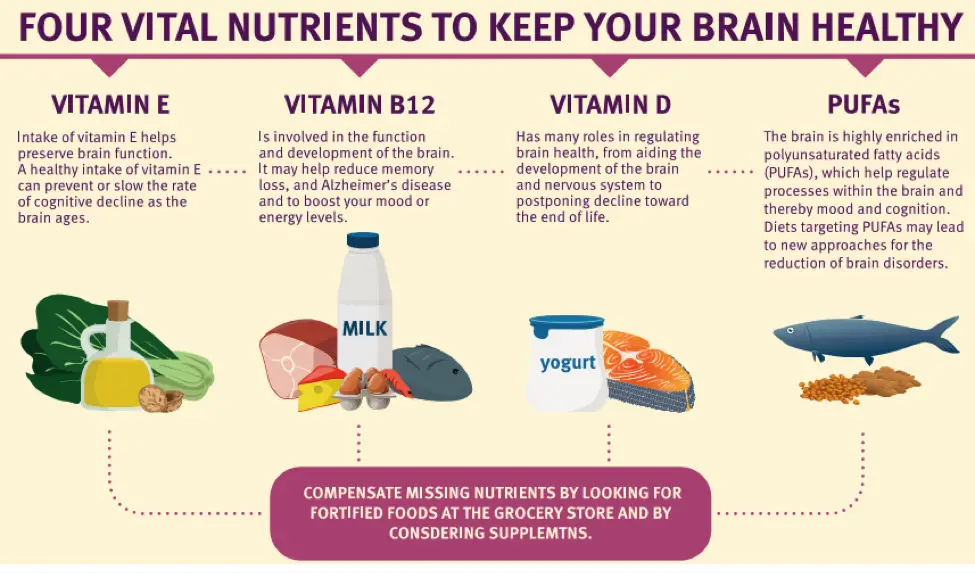 The Best Vitamins for Brain Function