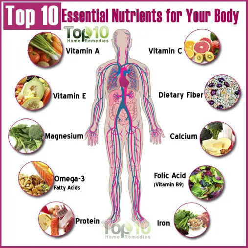 Top 10 Essential Nutrients for Your Body
