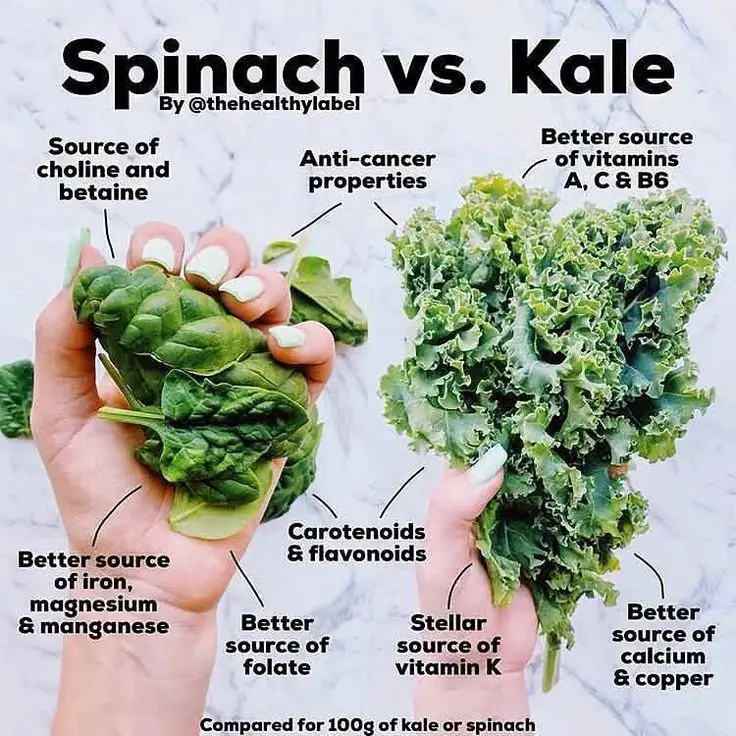 Vegetarian on Instagram: âSPINACH VS. KALE: have you ever wondered ...