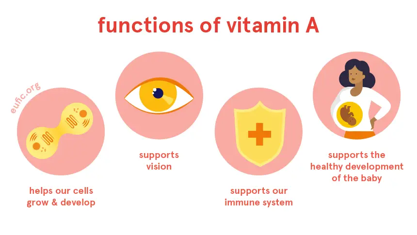 Vitamin A: foods, functions, how much do you need &  more ...