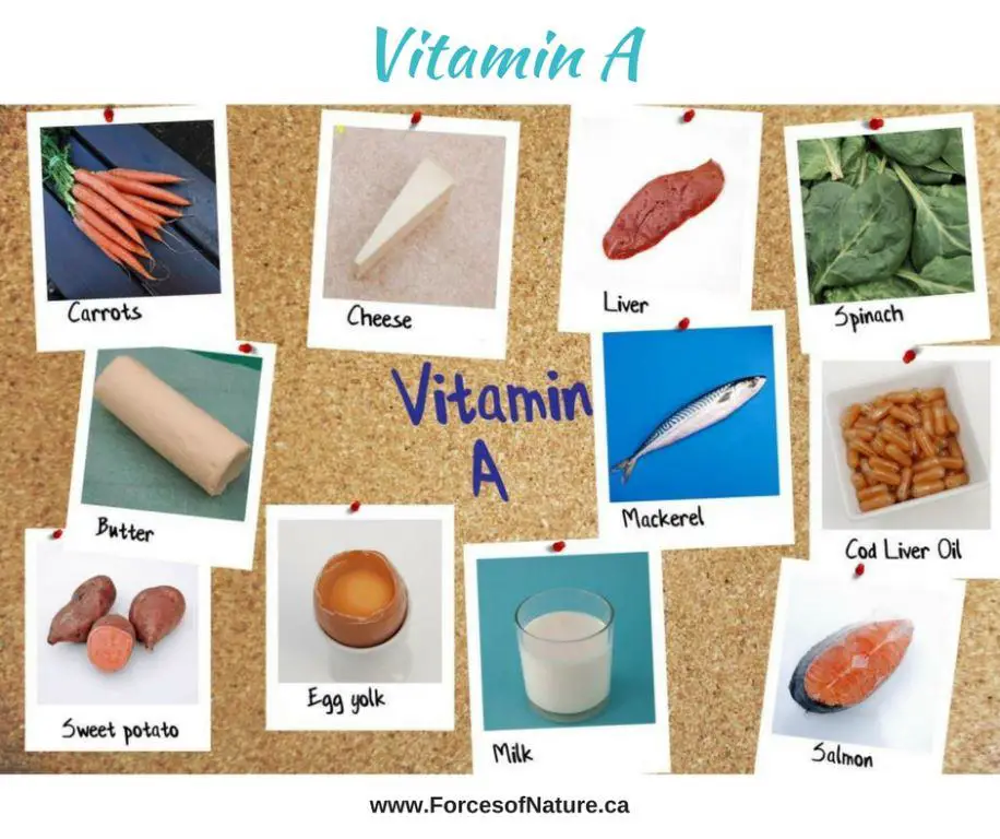 Vitamin A: Rabbits have it right! Dietitian