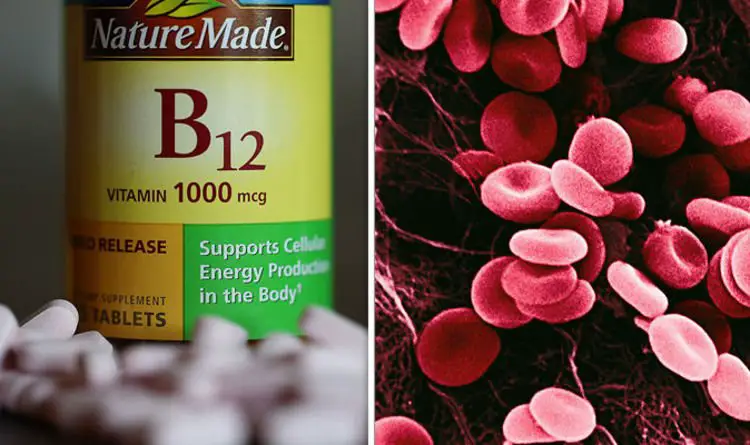 Vitamin B12: What is Vitamin B12