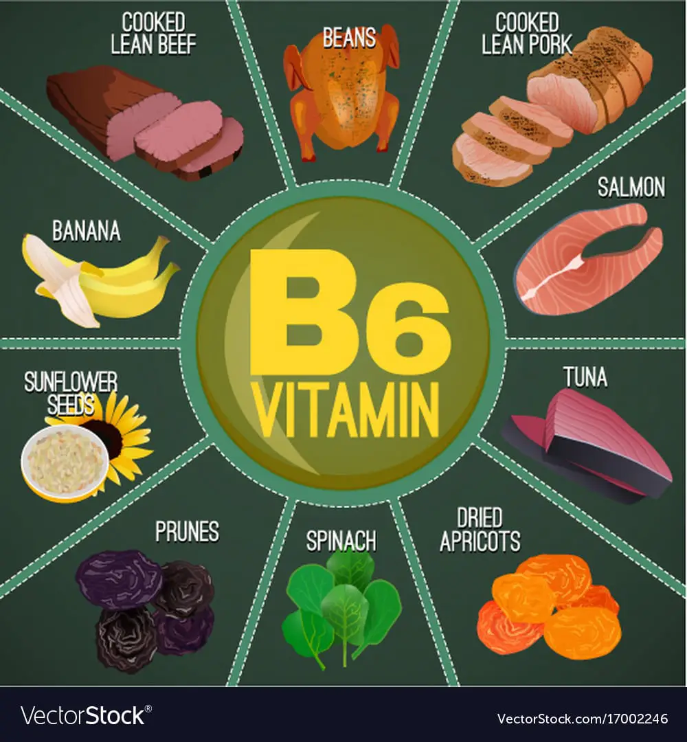 Vitamin b6 foods Royalty Free Vector Image