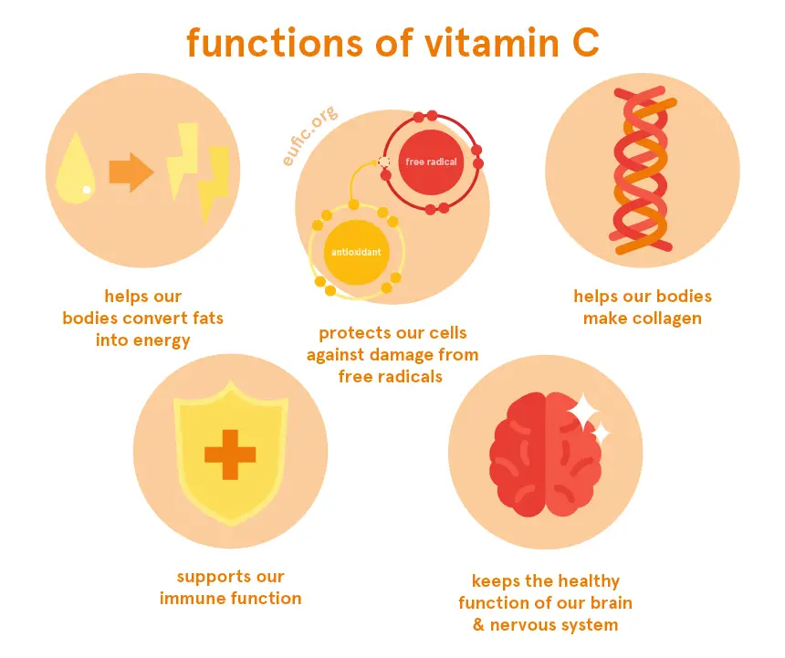 Vitamin C: foods, functions, how much do you need &  more