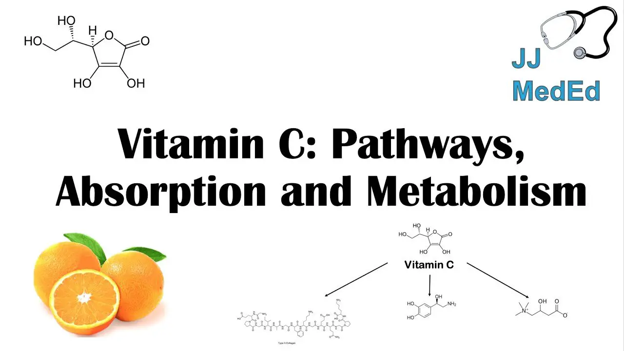 Vitamin C: Why we need it, dietary sources, and how we ...