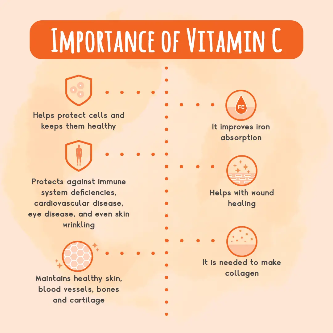 Vitamin C: Your daily dose of healthy « Sample Room  Official Blog