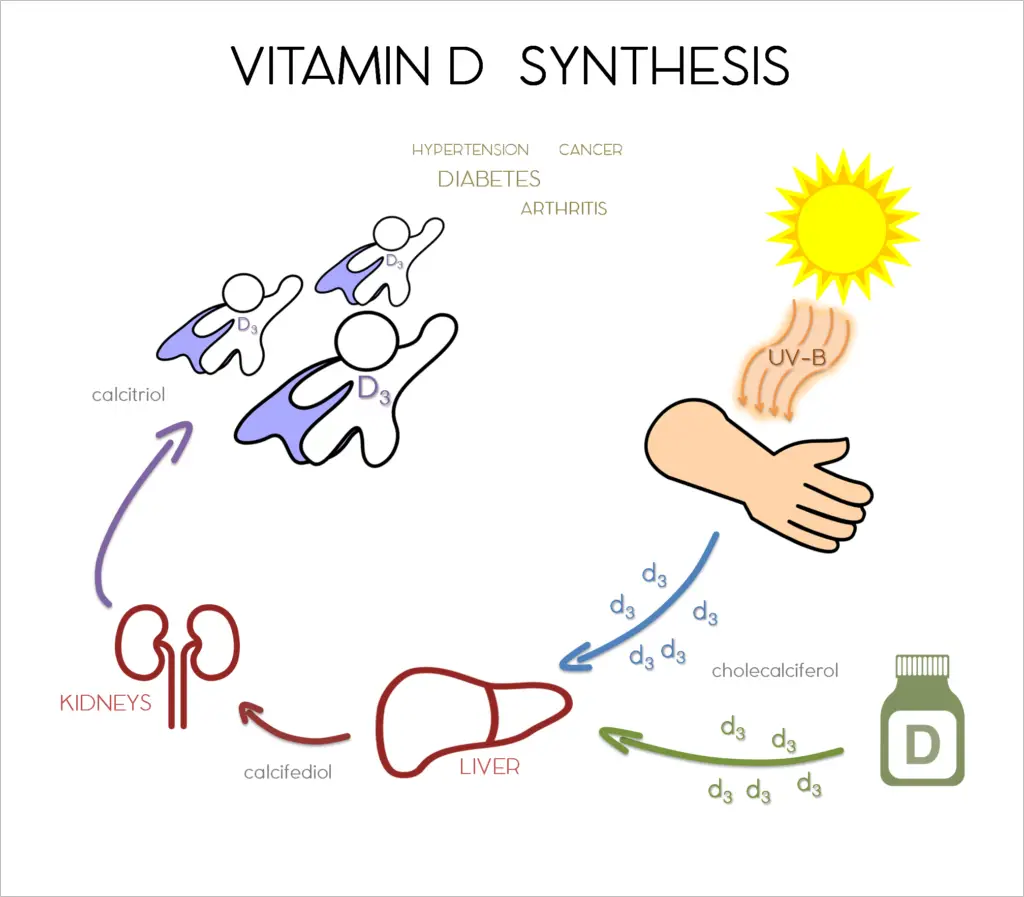 Vitamin D  Heading Healthy