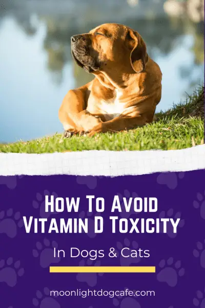 Vitamin D Toxicity in Dogs &  Cats: How to avoid Vitamin D ...