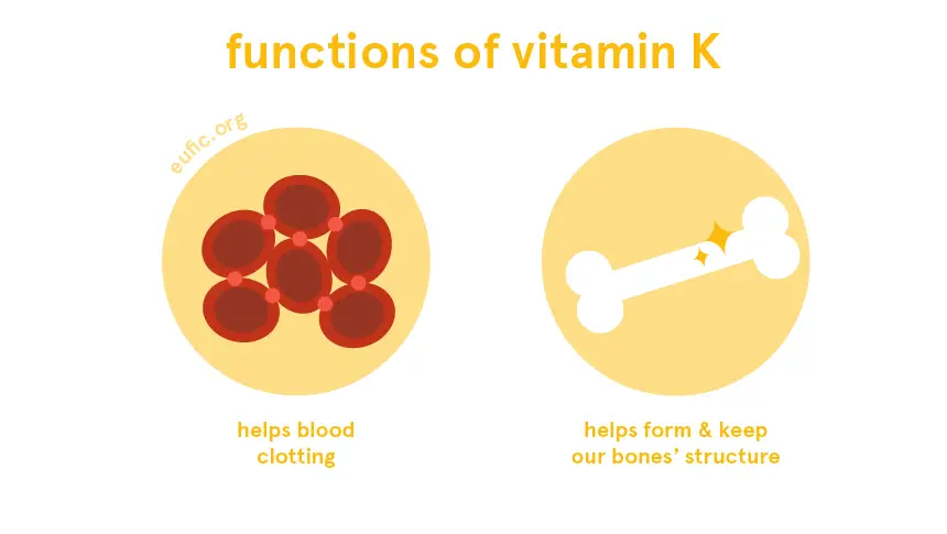 Vitamin K: foods, functions, how much do you need &  more