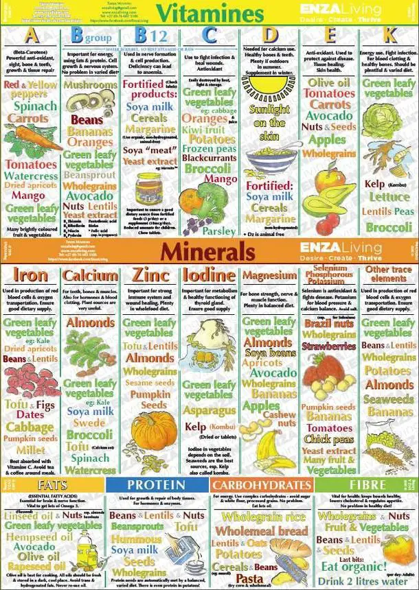Vitamin, Minerals chart