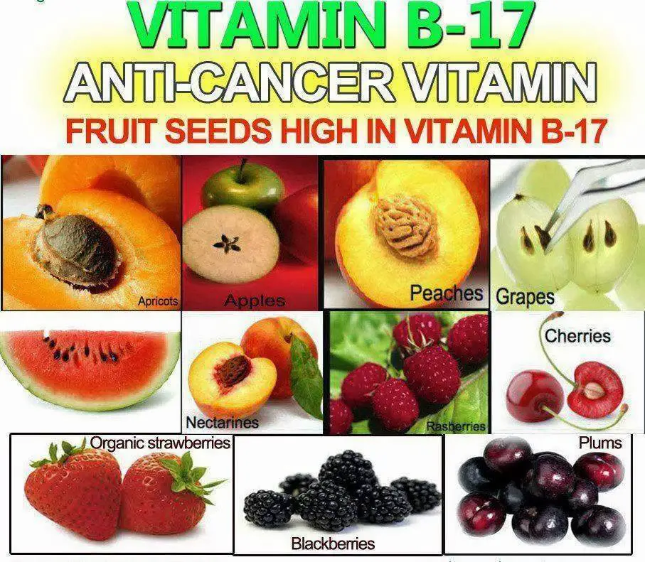 vitamin_b_17_in_seeds_and_fruit