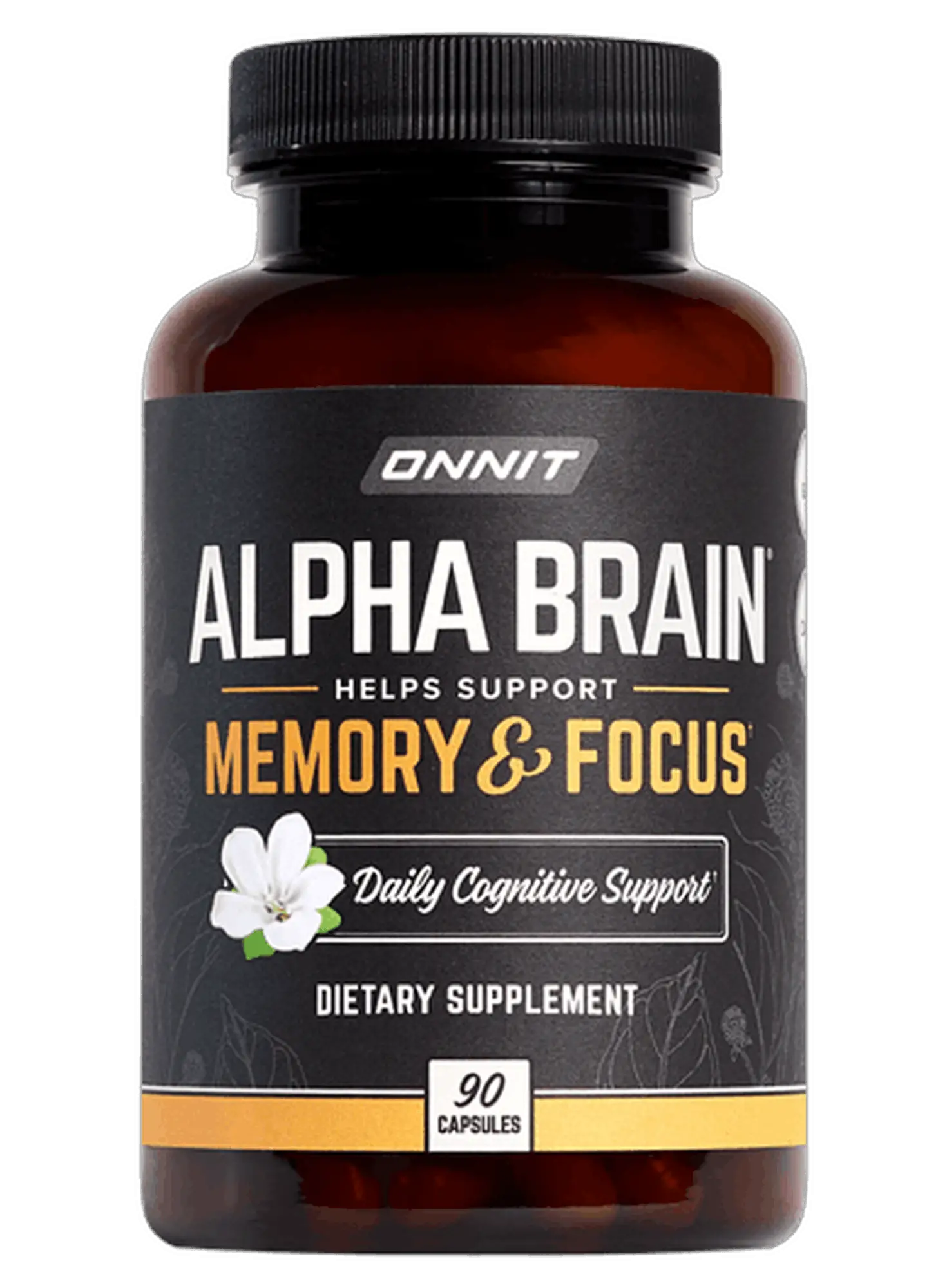 vitamins for memory and focus onettechnologiesindia com